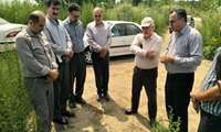 مدیر کل دفتر توسعه شبکه های فرعی آبیاری و زهکشی وزارت جهاد کشاورزی از پروژه های شهرستان محمود آباد بازدیدکرد