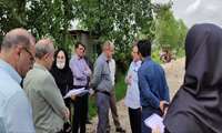 بازدید مدیرکل دفتر امورخاک کشاورزی از محل مطالعه خاکشناسی وتهیه نقشه های مدیریت‌پذیر در لاهیجان و آستانه اشرفیه