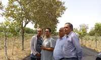 حضور تیم مستندسازی سامانه های نوین آبیاری در باغ انگور طرح فراز و مجهز به آبیاری قطره ای در شهرستان نظر آباد