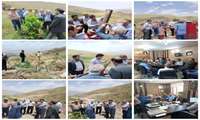 مدیر کل دفتر توسعه شبکه های آبیاری وزهکشی معاونت آب و خاک وزارت جهاد کشاورزی از سامانه های نوین آبیاری و پروژه های آب و خاک شهرستان طالقان بازدید نمود