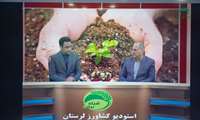 حضور جانشین مدیرکل دفتر امور خاک کشاورزی درامورفنی و اجرایی در برنامه شبکه برکت سازمان جهاد کشاورزی استان لرستان