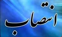 رئیس کارگروه تخصصی امور آب و خاک ستاد هماهنگی امنیت غذایی منصوب شد