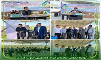 در دومین روز از بازدید معاون آب و خاک وزارت جهاد کشاورزی از طرح شبکه های فرعی آبیاری و زهکشی دشت جیرفت بازدید شد.