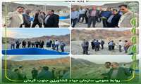 مدیر کل دفتر امور آب کشاورزی معاونت آب و خاک وزارت جهادکشاورزی از طرح ایستگاه پمپاژ آب روستای دره رود جیرفت بازدید نمود. 