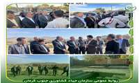 بازدید مدیرکل دفتر امور آب کشاورزی وزارت جهاد کشاورزی از قنوات بخش اسفندقه 