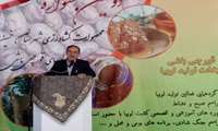 حضور معاون آب و خاک وزارت جهاد کشاورزی در مراسم اختتامیه دومین جشنواره محصولات کشاورزی خمین(لوبیای قورچی باشی)