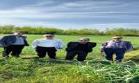  بازدید معاون فنی مجری طرح سامانه های نوین آبیاری از پروژه‌های آبیاری استان گیلان