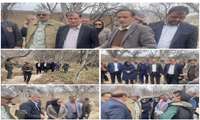 معاونین آب و خاک و امور باغبانی وزارت جهاد کشاورزی، رییس سازمان حفظ نباتات کشور ، سرپرست سازمان جهاد کشاورزی استان فارس و هیات همراه از باغ‌های گردو در روستای عاصمی و محله اکبری بخش مزایجان شهرستان بوانات بازدید کردند. 