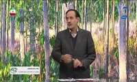 لینک پخش برنامه تلویزیونی «رویش» از شبکه آموزش سیما