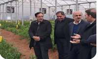 گلخانه سبزی و صیفی در روستای سراب‌قامیش سنندج افتتاح شد