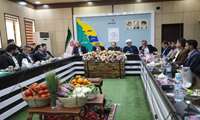 وزیر جهاد کشاورزی در شورای اداری شهرستان دشتی