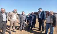 بازدید معاون آب و خاک وزارت جهادکشاورزی از طرح آبیاری کم فشار تلفیقی با پرورش گاو میش و ماهی در بخش شیلات شهرستان کارون