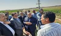 کلنگ‌زنی سردخانه ۱۲هزارتنی و بازدید از پروژه‌های شاخص کشاورزی در شهریار