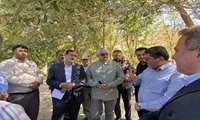 بازدید معاون آب و خاک وزارت جهاد کشاورزی از طرح تامین و انتقال آب جهت توسعه باغ‌ها در زمین‌های شیبدار در روستای اسفیان و تل زری از توابع شهرستان سپیدان