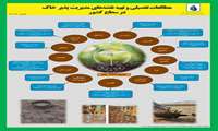  اجرای ۲۶ هزار هکتار انجام مطالعات تفصیلی و تهیه نقشه های مدیریت پذیر خاک در ۱۳ استان کشور   