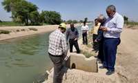 نشست و بازدید میدانی از طرح احیا و توسعه اراضی کشاورزی حمیدیه؛ تأکید بر رفع نواقص و تسریع در بهره‌برداری