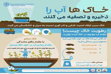 خاک ها آب را تصفیه می کنند